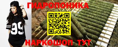 PSILOCYBIN Кулебаки