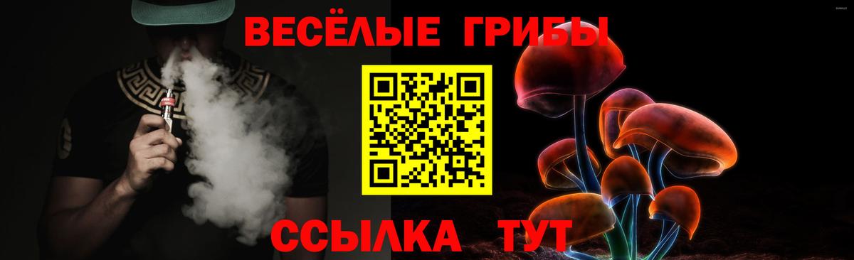 Галлюциногенные грибы мицелий Изобильный